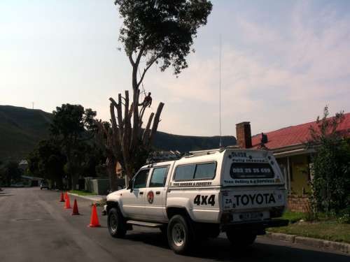 Disa Str - Hermanus - 004_s